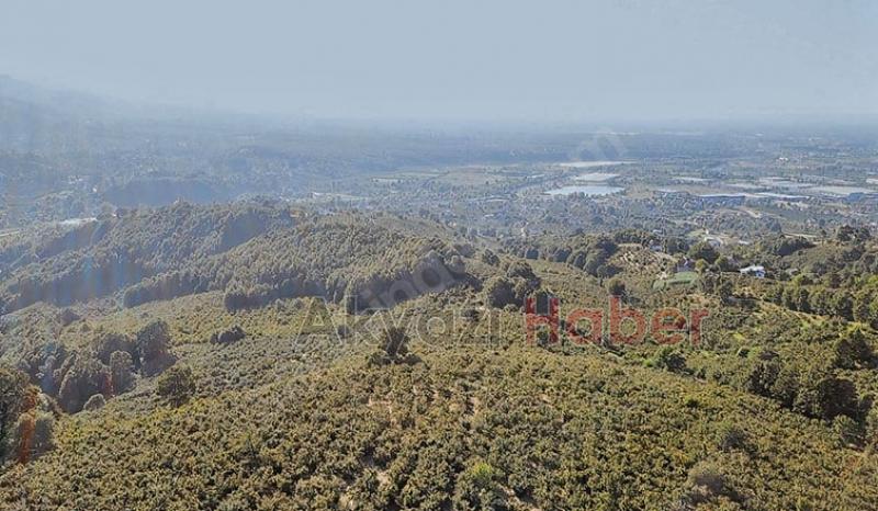 Mevlana Emlak'tan Yatırımlık Arsa