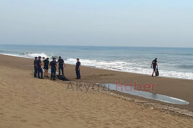 Rusya'dan geldi, sudan cansız bedeni çıktı