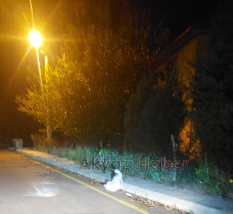 Fındıkçıyı kantar oyunuyla dolandırmak istedi