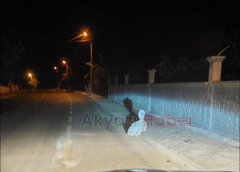 Fındıkçıyı kantar oyunuyla dolandırmak istedi