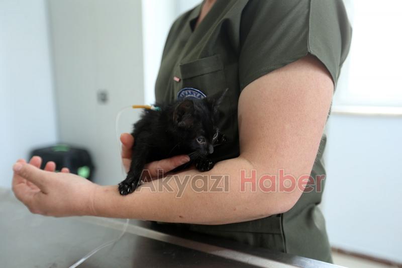 Sokak Hayvanları Hastanesi hizmete başladı