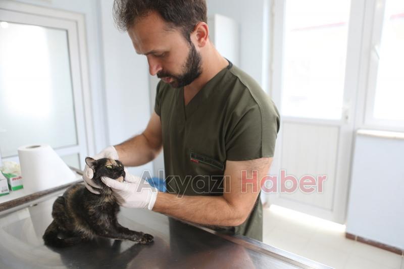 Sokak Hayvanları Hastanesi hizmete başladı