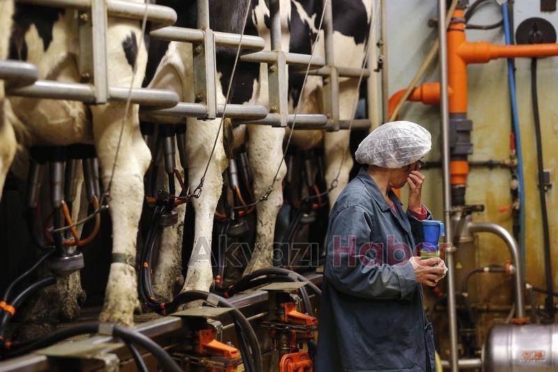 Süt piyasasında kriz