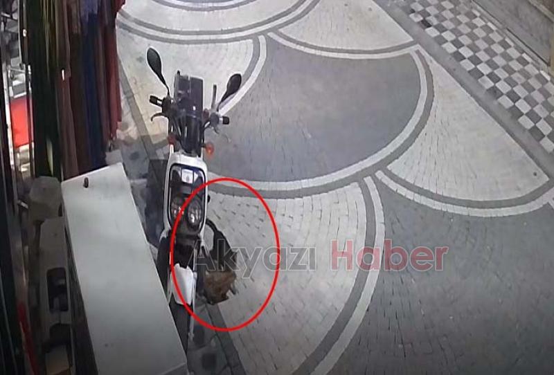 Kedi mağazadaki elbiseyi götürdü