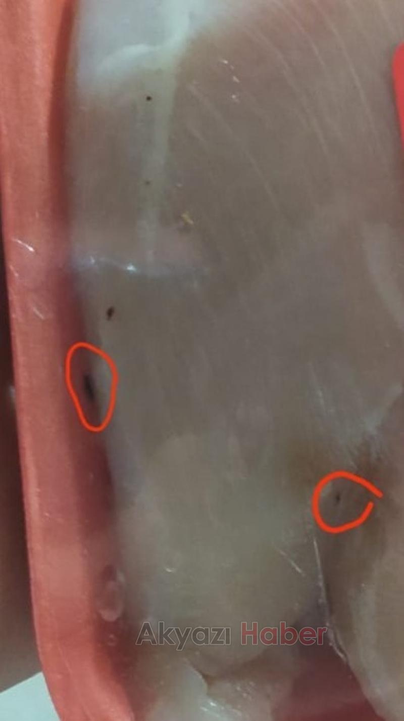 Satın aldığı tavuktan kurtlar çıktı