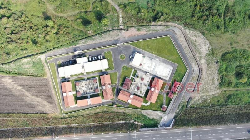 Sakarya Büyükşehirden sokak hayvanları için dev tesis