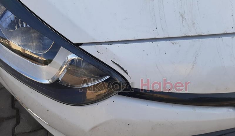 Kedi kovalayan sokak köpekleri otomobili parçaladı