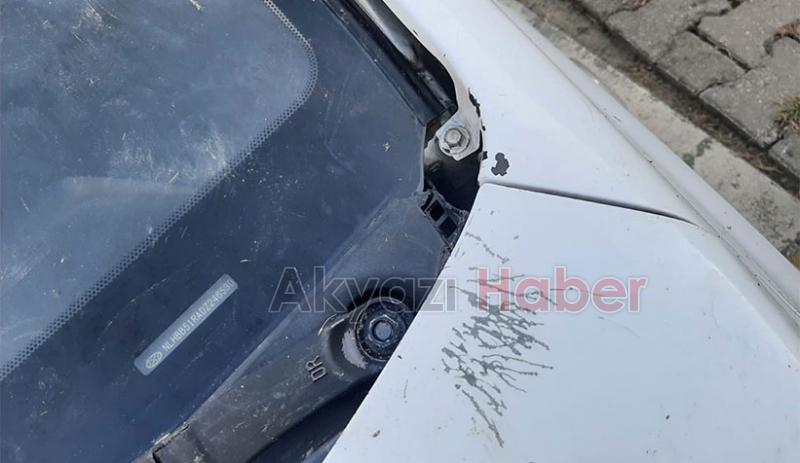 Kedi kovalayan sokak köpekleri otomobili parçaladı