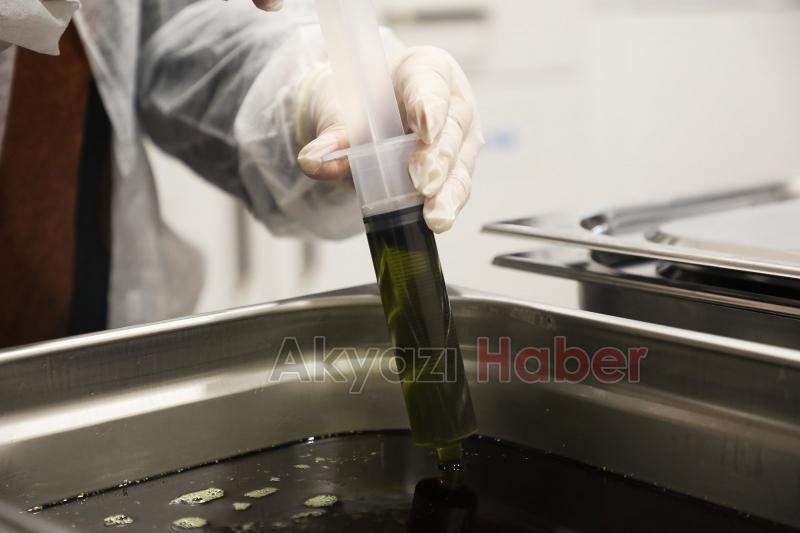 Büyükşehir 1 yılda 222 bin adet şifalı ürün üretti