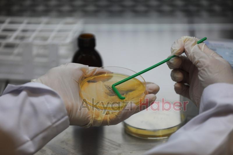 Büyükşehir 1 yılda 222 bin adet şifalı ürün üretti