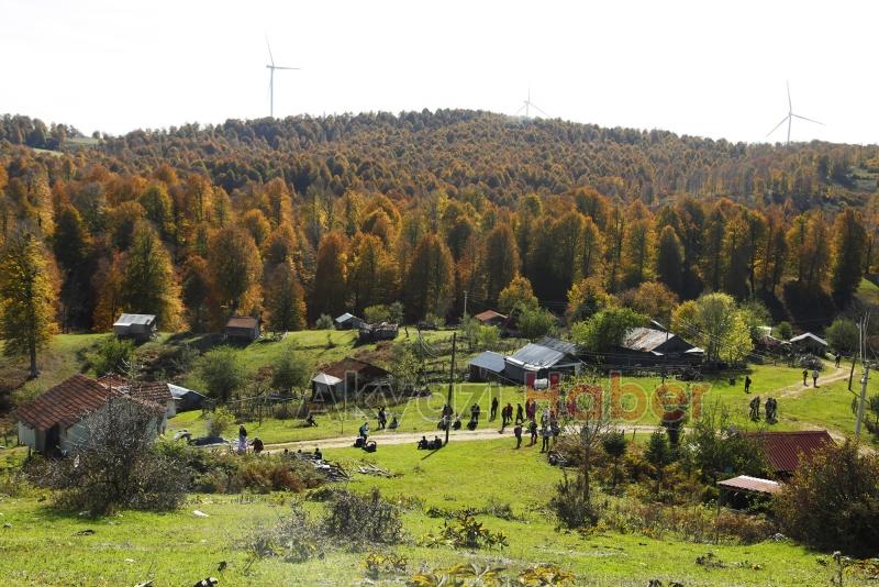 Sonbaharın büyüleyici yüzü
