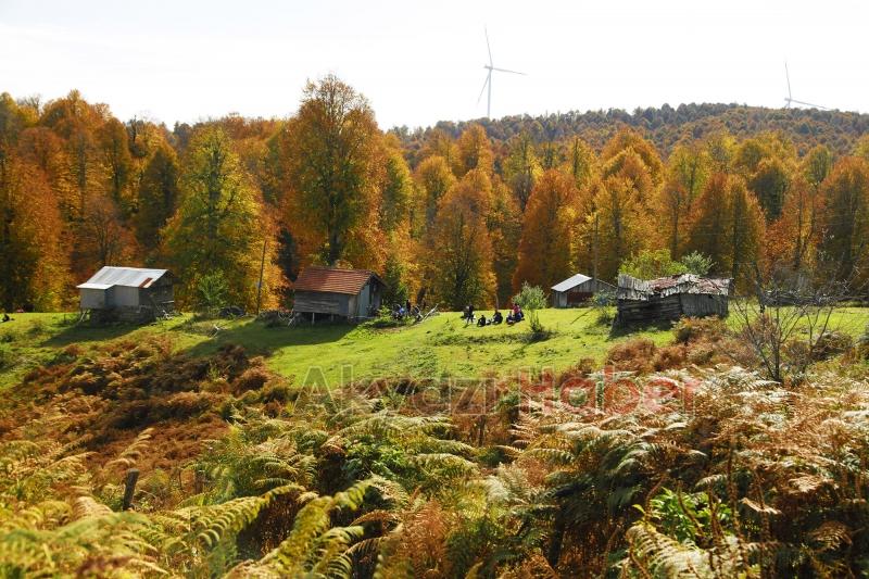 Sonbaharın büyüleyici yüzü