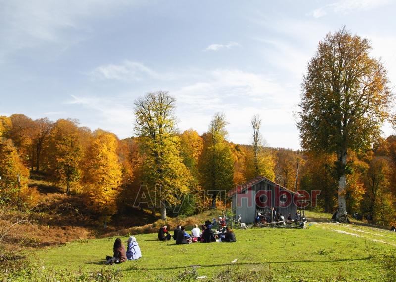 Sonbaharın büyüleyici yüzü