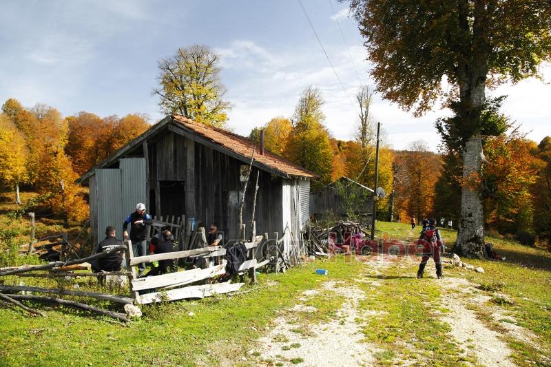 Sonbaharın büyüleyici yüzü