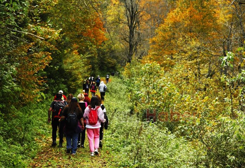 Sonbaharın büyüleyici yüzü