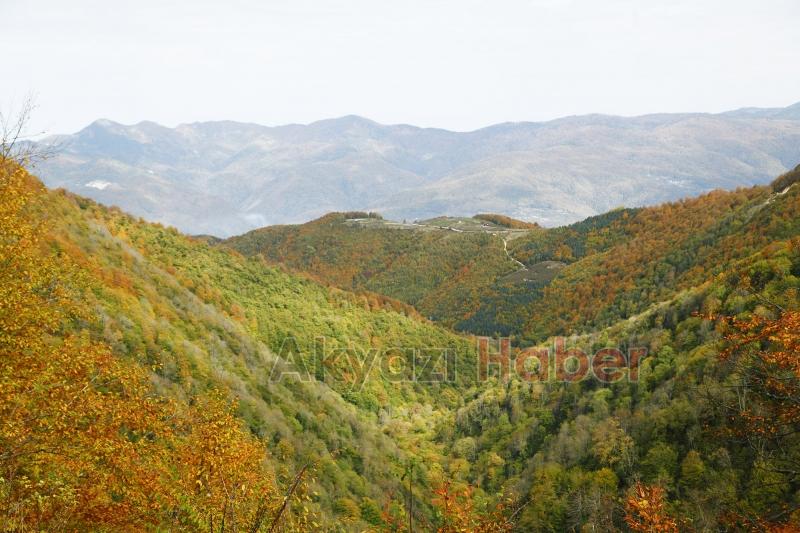 Sonbaharın büyüleyici yüzü