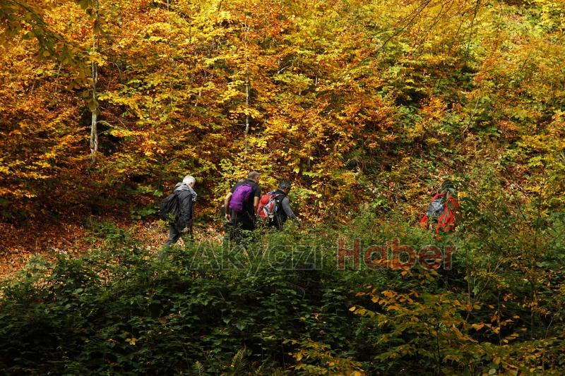 Sonbaharın büyüleyici yüzü