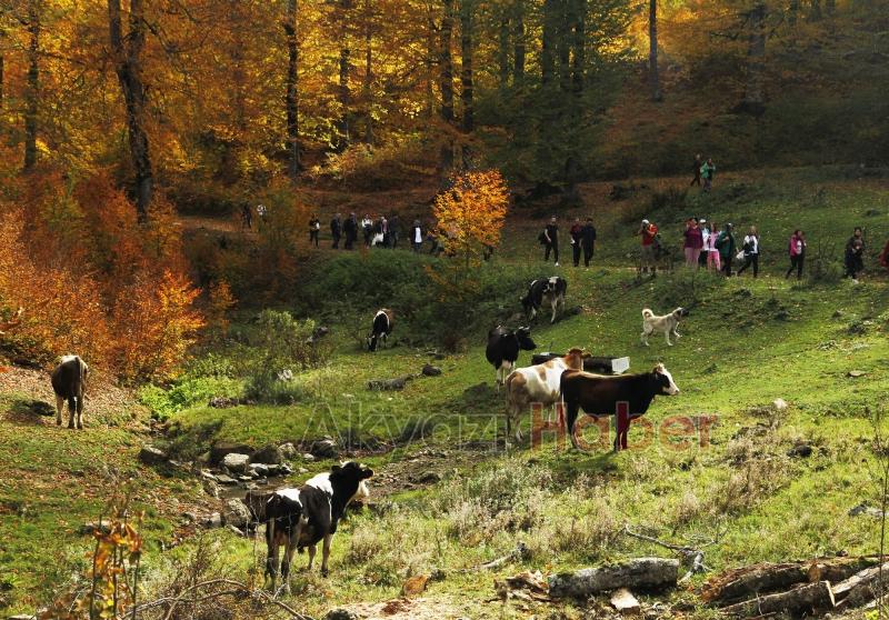 Sonbaharın büyüleyici yüzü