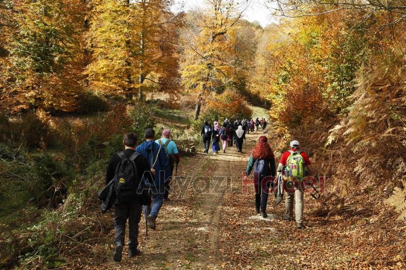 Sonbaharın büyüleyici yüzü