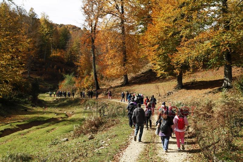 Sonbaharın büyüleyici yüzü