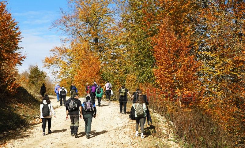 Sonbaharın büyüleyici yüzü