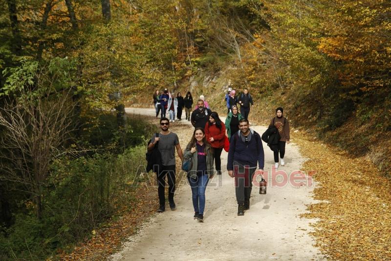 Sonbaharın büyüleyici yüzü