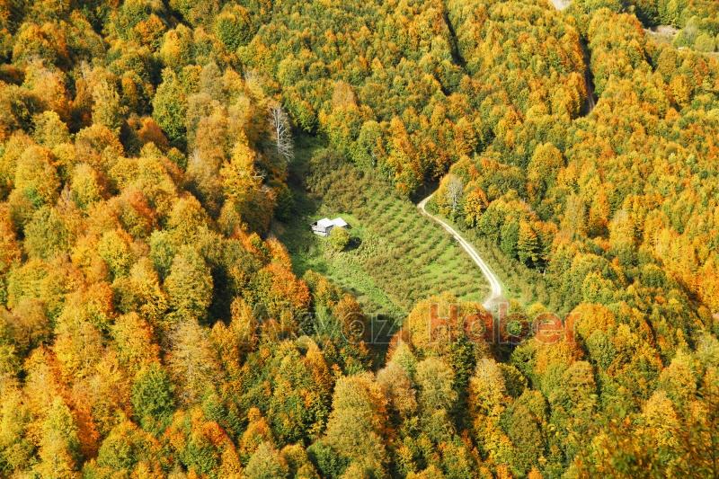 Sonbaharın büyüleyici yüzü