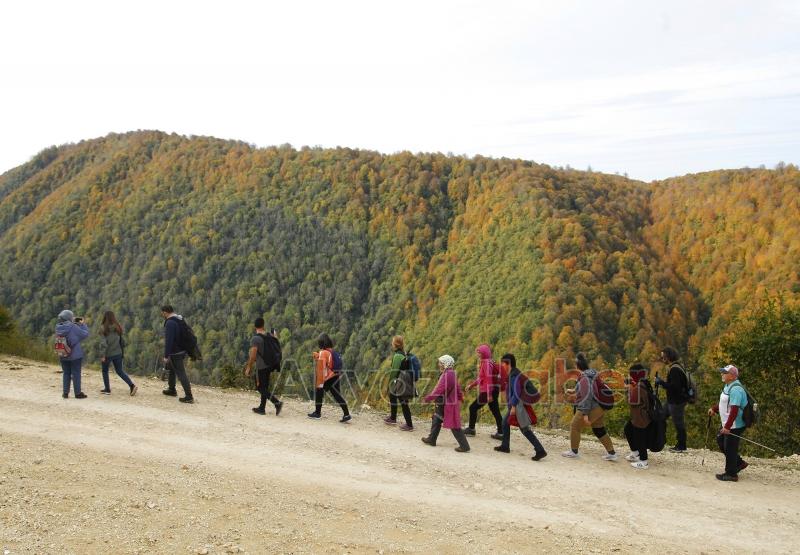 Sonbaharın büyüleyici yüzü