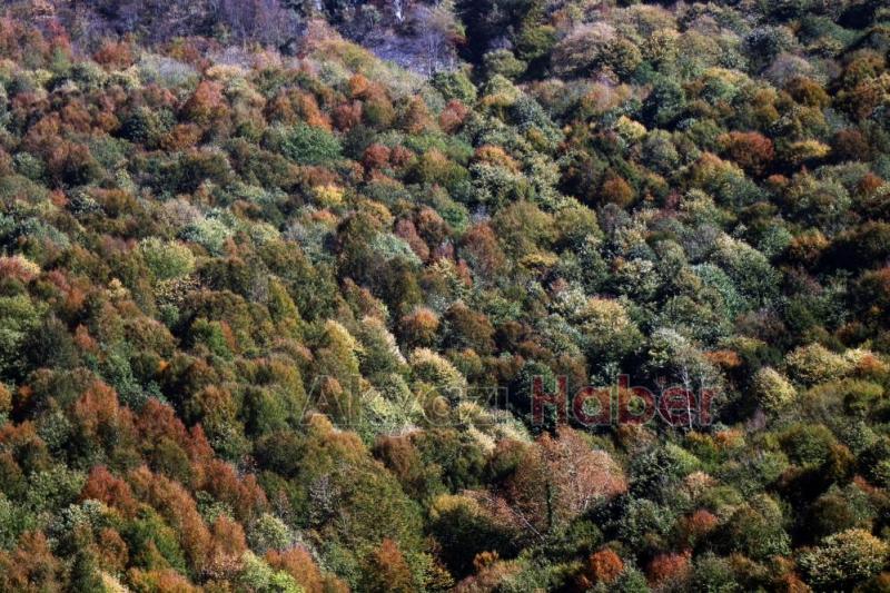 Gününen güzel fotoğrafları