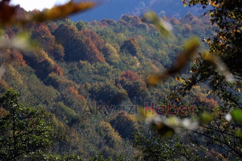 Gününen güzel fotoğrafları