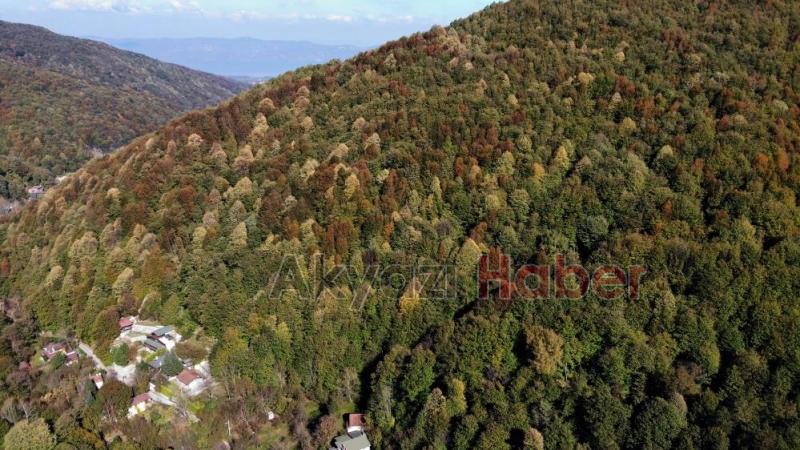 Gününen güzel fotoğrafları