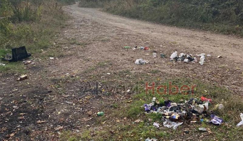 Alemciler doğayı kirletiyor