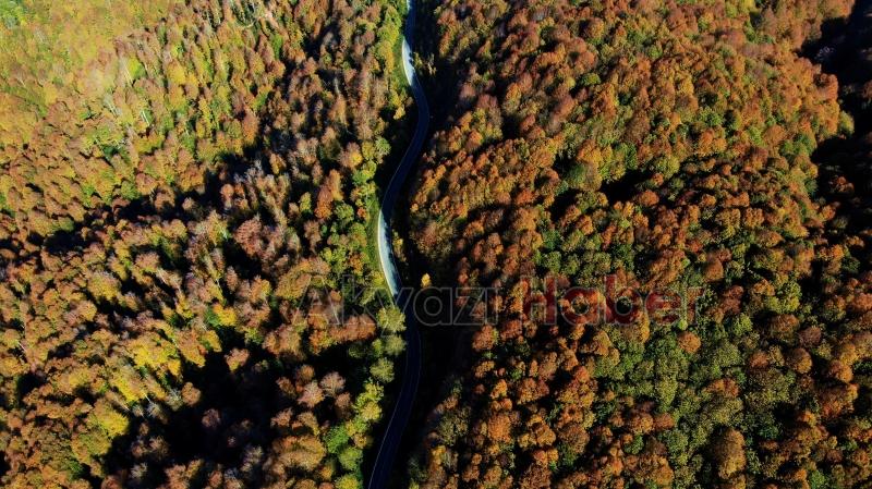 Çam Dağı’nın hayran bırakan sonbahar manzarası