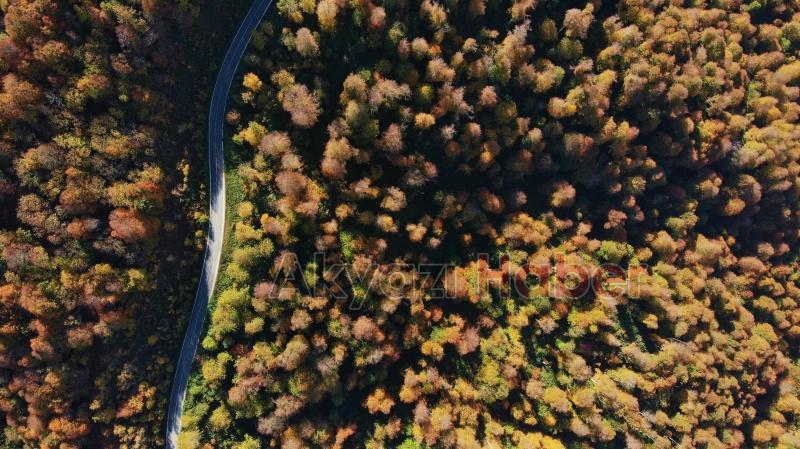 Çam Dağı’nın hayran bırakan sonbahar manzarası