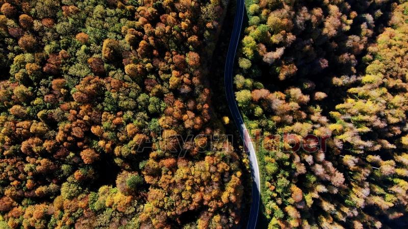 Çam Dağı’nın hayran bırakan sonbahar manzarası