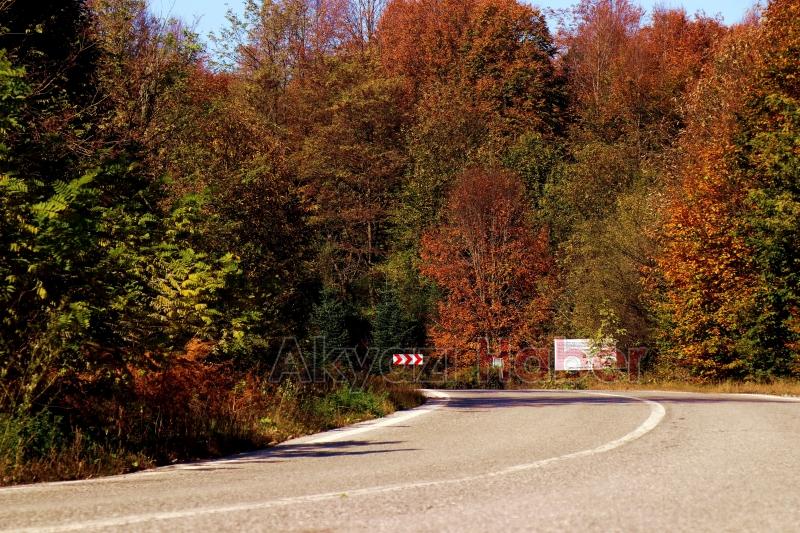 Çam Dağı’nın hayran bırakan sonbahar manzarası