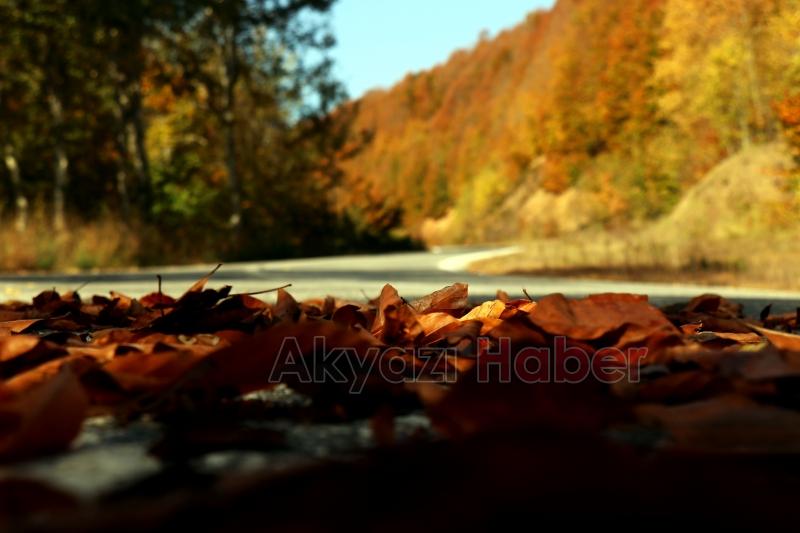 Çam Dağı’nın hayran bırakan sonbahar manzarası