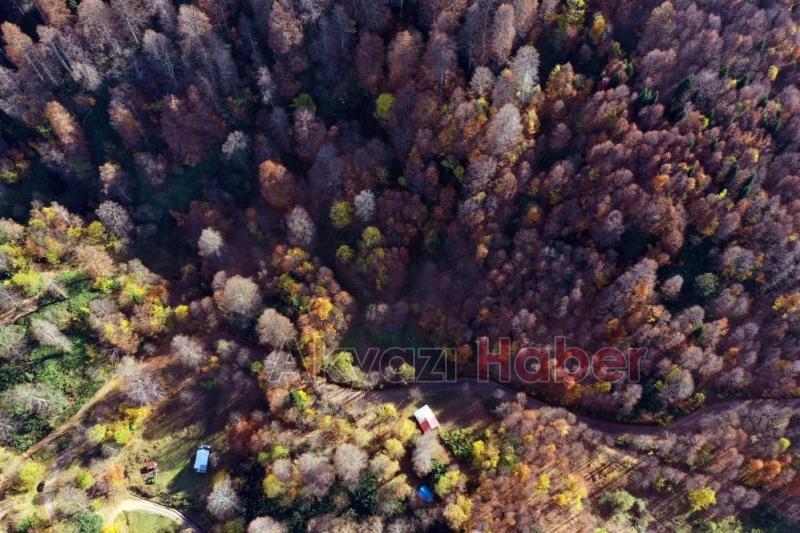 Keremali'de sonbahar renkleri