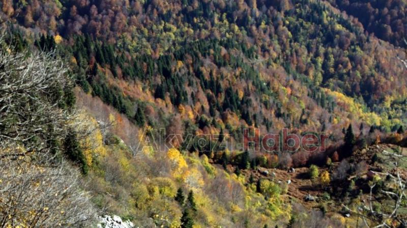 Keremali'de sonbahar renkleri