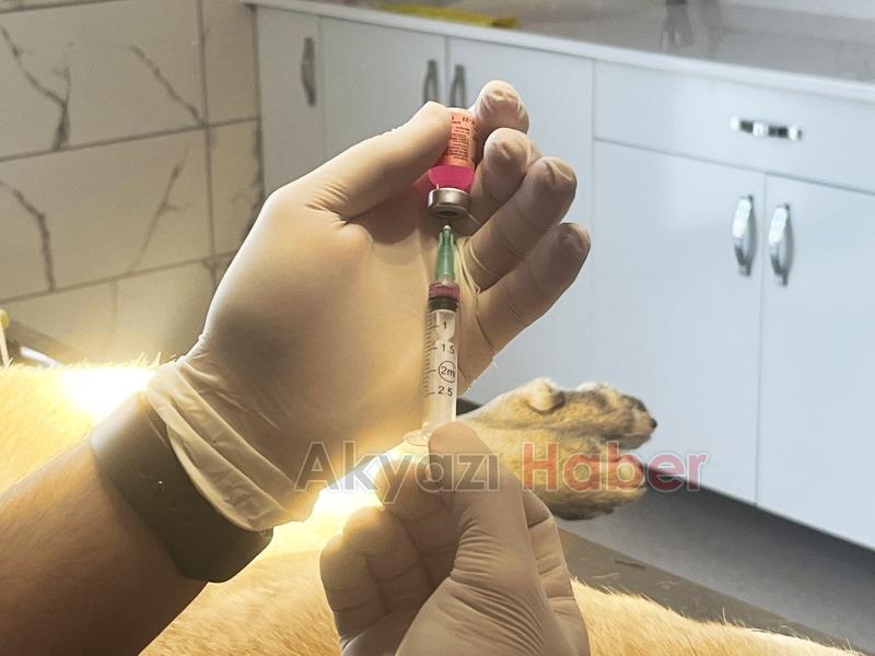 Bölgenin en büyük hastanesi can dostlara kucak açtı