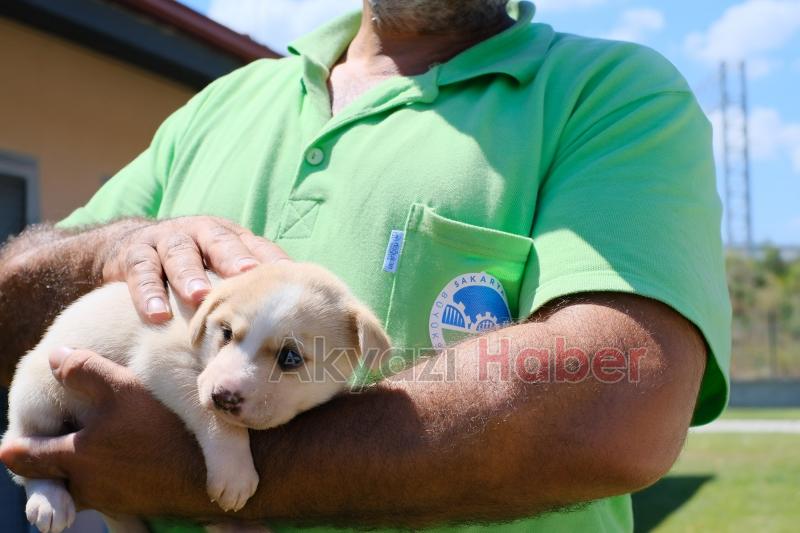 Bölgenin en büyük hastanesi can dostlara kucak açtı