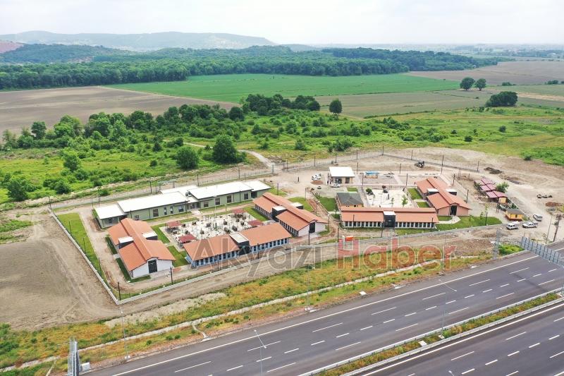 Bölgenin en büyük hastanesi can dostlara kucak açtı