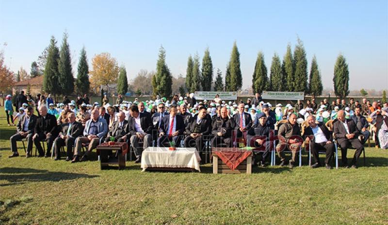 Milli Ağaçlandırma Günü Akyazı'da kutlandı