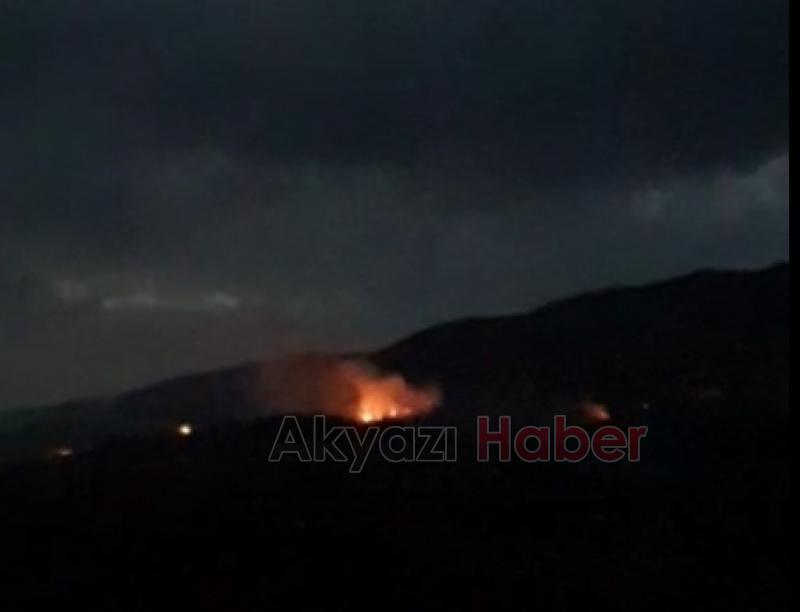 Anız yangını kontrolden çıktı