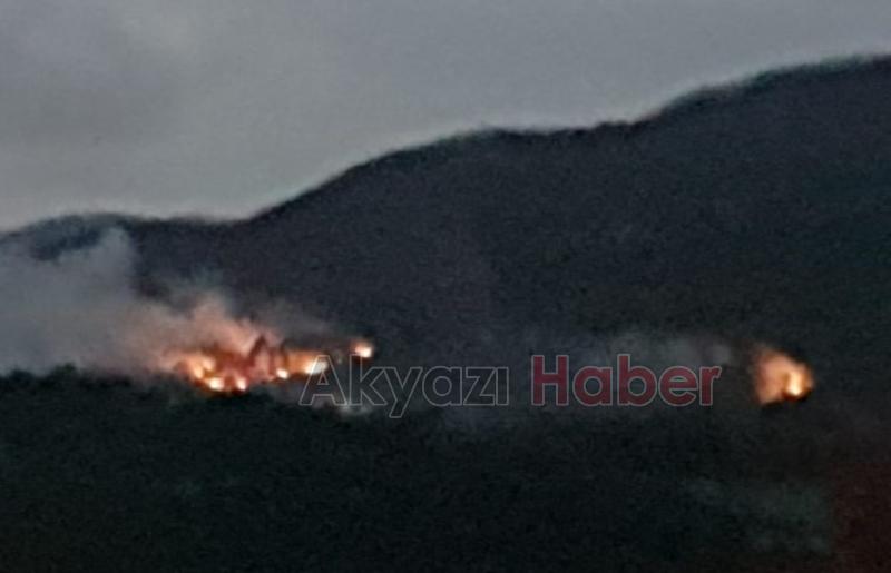 Anız yangını kontrolden çıktı