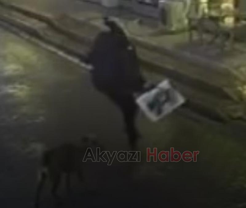 Akyazı'da okuldan dönen çocuğa sokak köpekleri saldırdı
