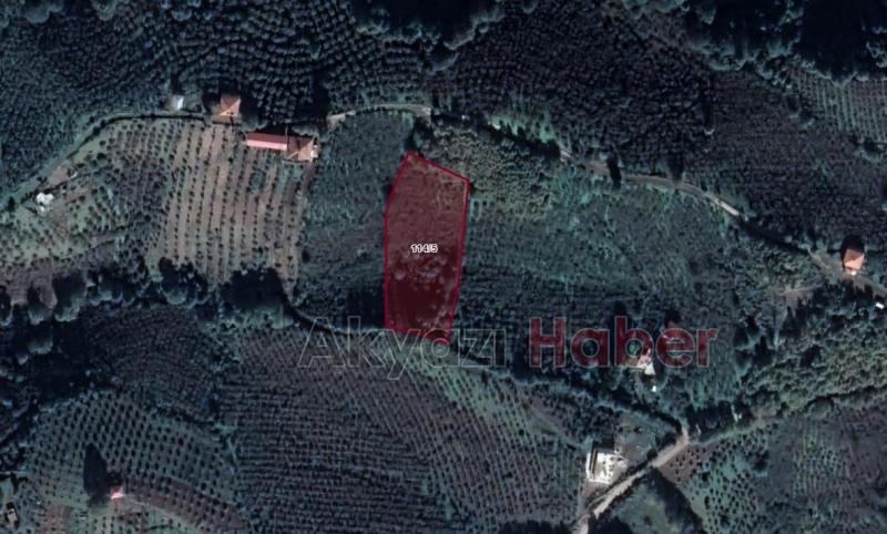 TEİAŞ Akyazı'da 3 arsayı kamulaştırıyor