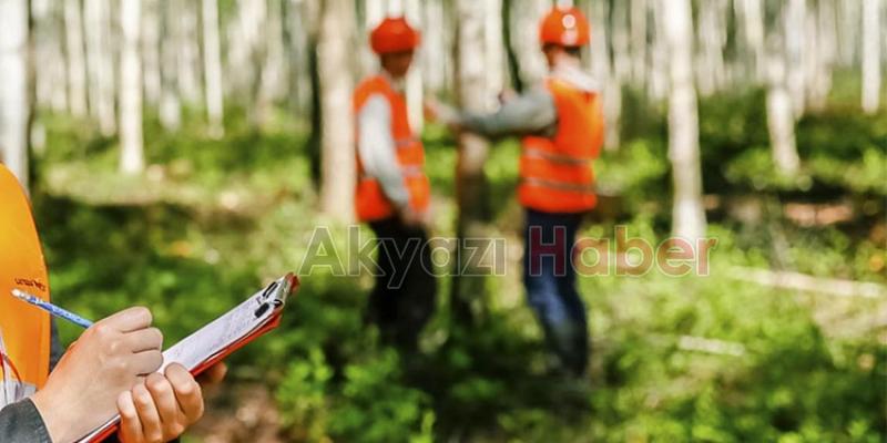 249 sözleşmeli orman mühendisi alınacak