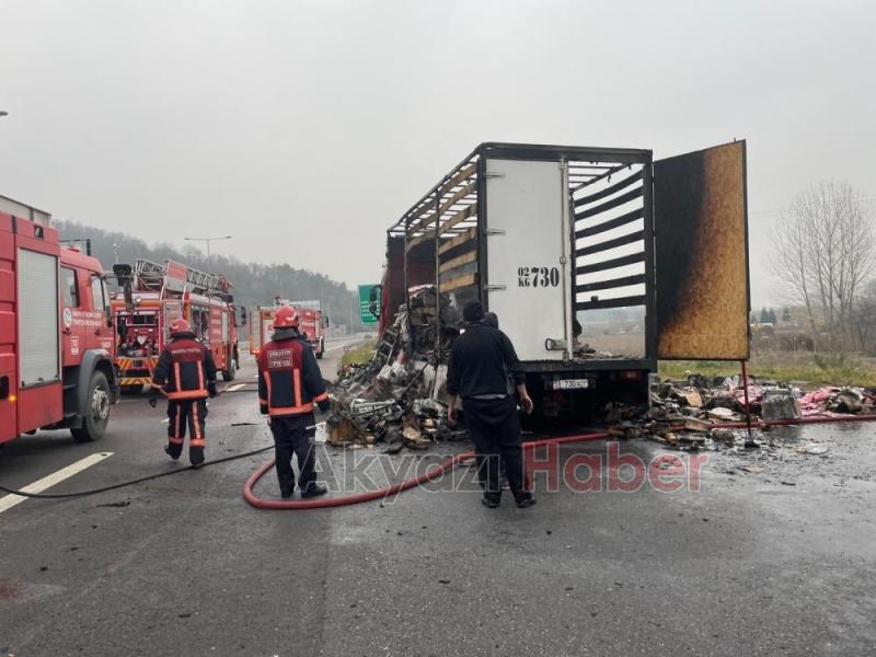 Tır alevlere teslim oldu, taşıdığı yükler küle döndü