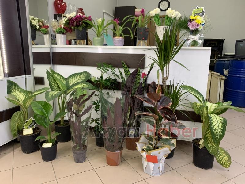 Üstün Hizmet Kalitesiyle Miray Çiçekçilik